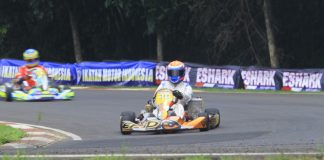 Zahri ali gokart