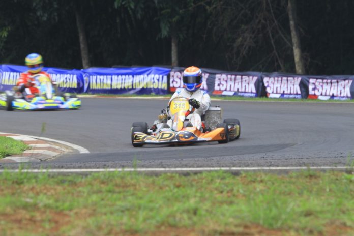 Zahri ali gokart