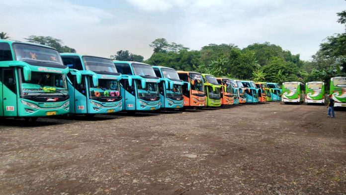 pengusaha bus bangkrut karena covid-19