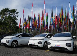 Wuling EV Hadirkan Pengalaman “Drive For A Green Life” di World Water Forum wuling ev world water forum