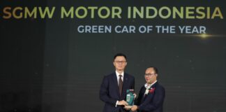 wuling green car award