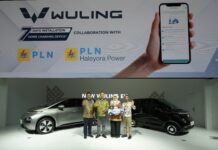 wuling haleyora power iims 2025