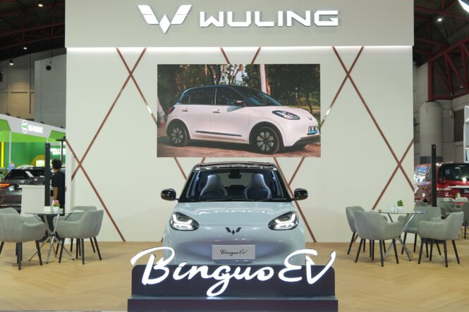 wuling binguo ev
