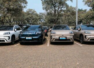 Komunitas Aion Resmi Dideklarasikan, Anggotanya Capai Ratusan Komunitas Aion Indonesia