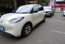 Wuling New BinguoEV