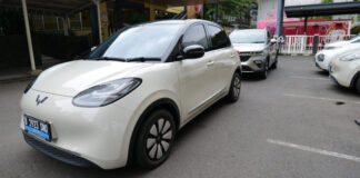 Wuling New BinguoEV