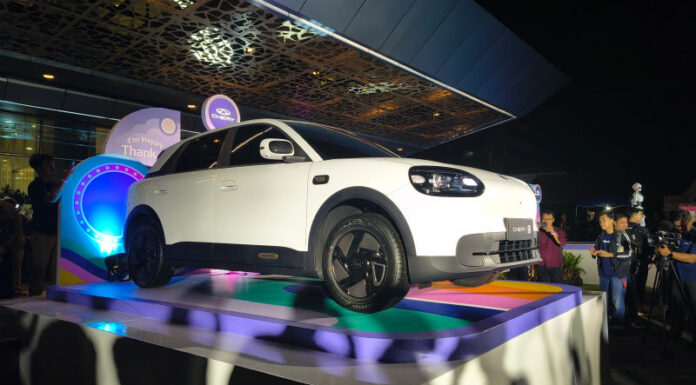 Chery Q
